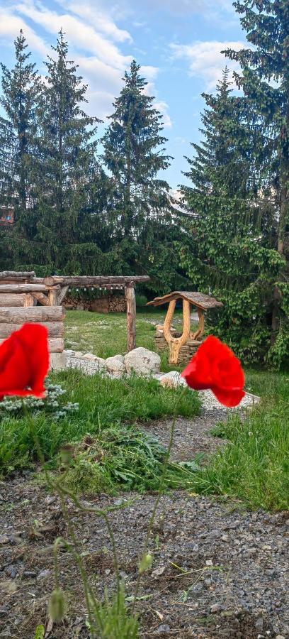 شقة Mlyn Tatry Veľký Slavkov المظهر الخارجي الصورة